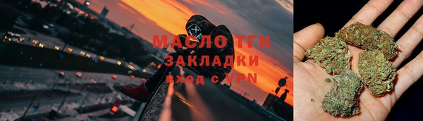 скорость Ельня