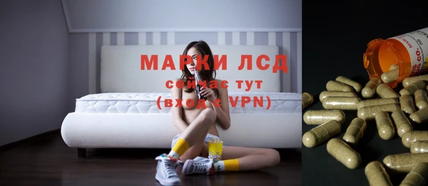 скорость Ельня