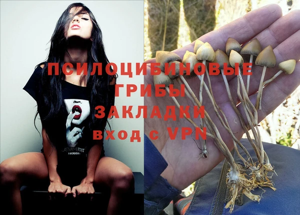 скорость Ельня