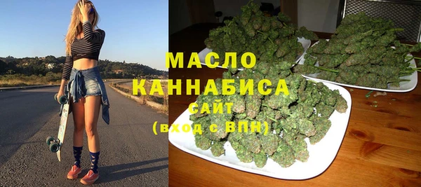 скорость Ельня